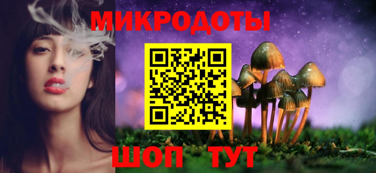 Галлюциногенные грибы Psilocybe  Псилоцибиновые грибы ЛСД  Дмитров  Вход с VPN 